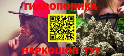 mdpv Кингисепп