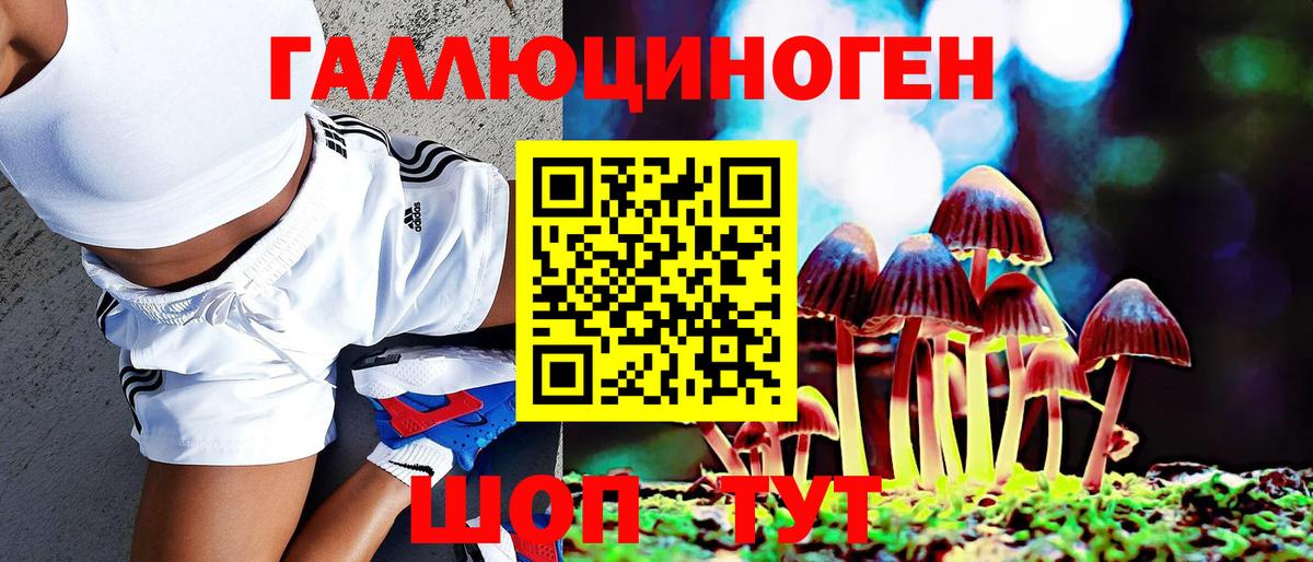 Конаково  Псилоцибиновые грибы Psilocybe  даркнет сайт  Вход с VPN 