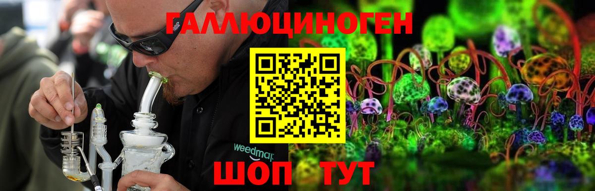 Псилоцибиновые грибы Magic Shrooms Конаково